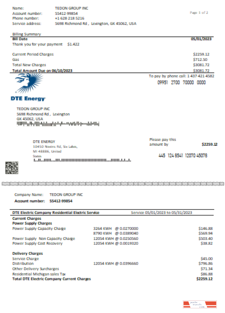 DTE Energy utility business bill SCR page 1 PSD template